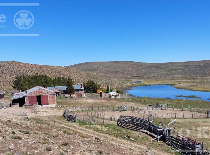 Campo · 4394ha · 7 Ambientes