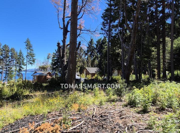 Terreno · 2342m²