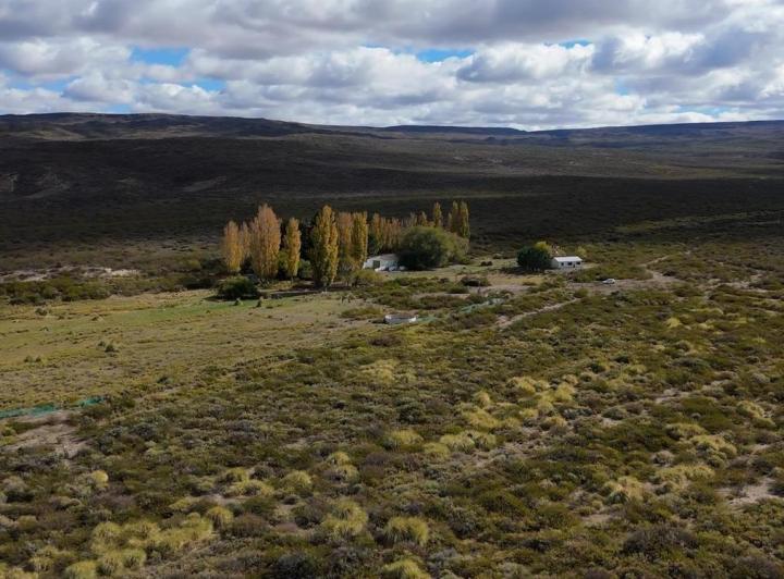 Campo · 38947632ha
