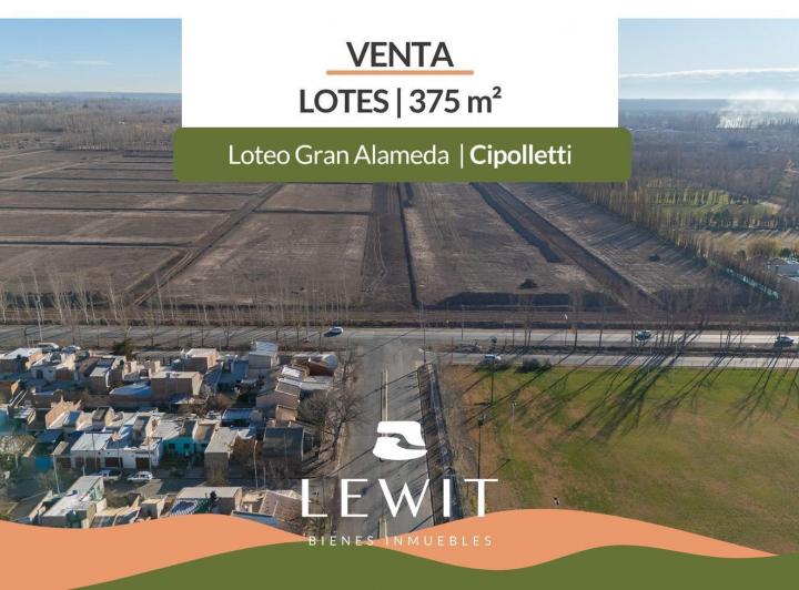 Terreno · 375m²