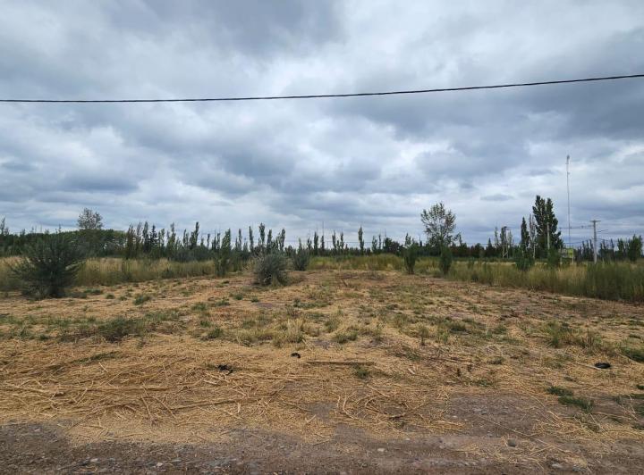 Terreno · 1015m²