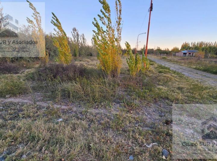 Terreno · 1000m²