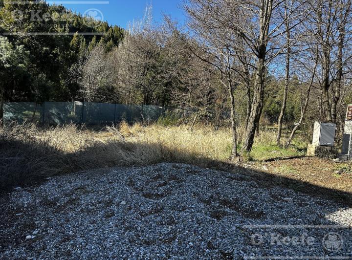 Terreno · 310m²