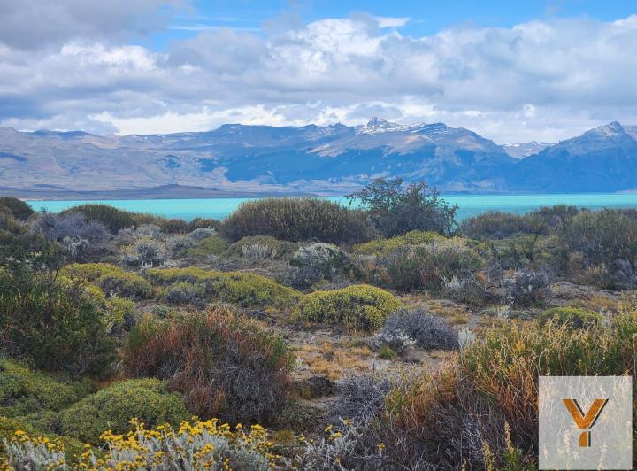 Campo · 8930000m²