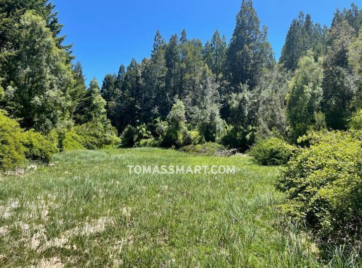 Terreno · 3641m²