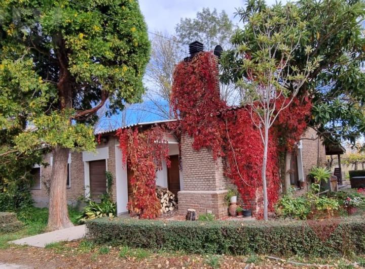 Campo · 125000ha · 6 Ambientes · 2 Cocheras
