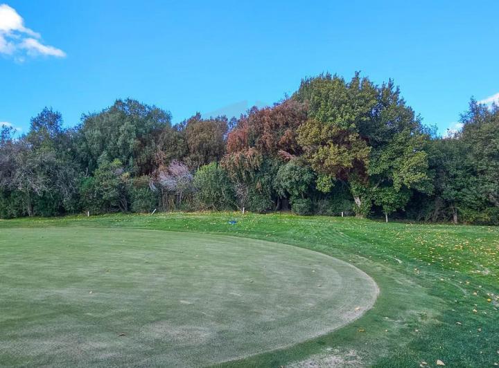 Terreno · 1238m²