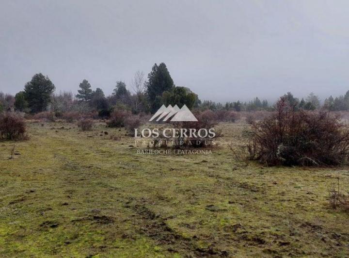 Campo · 121683ha