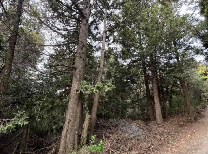 Terreno · 780m²