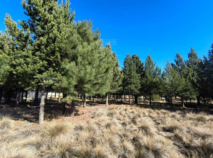 Terreno · 1158m²