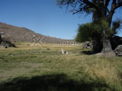 Campo · 27000000m² · 1 Ambiente