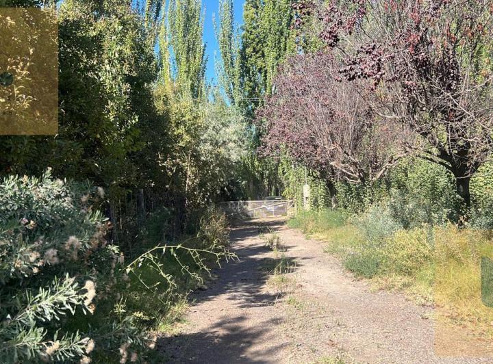 Terreno · 300m²