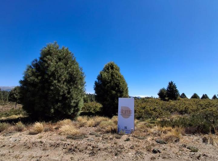 Terreno · 600m²