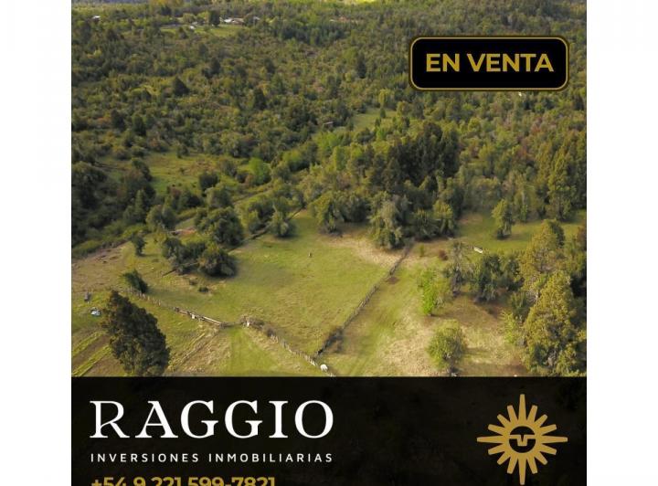 Terreno · 10000m²