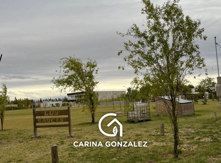 Terreno · 1003m²