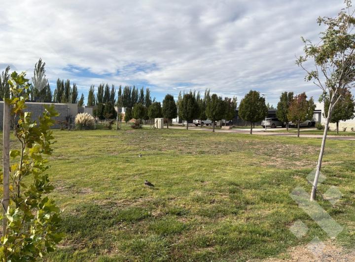 Terreno · 1700m²