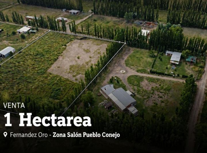 Campo · 1ha