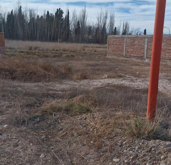 Terreno · 323m²