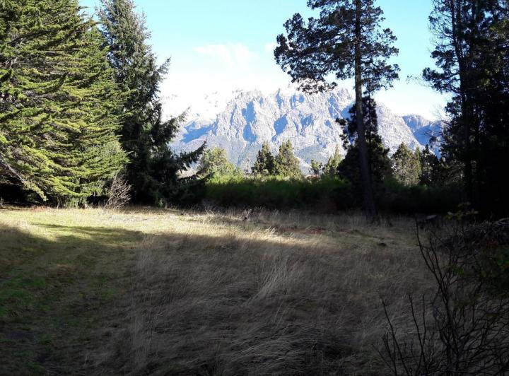 Terreno · 32000m²