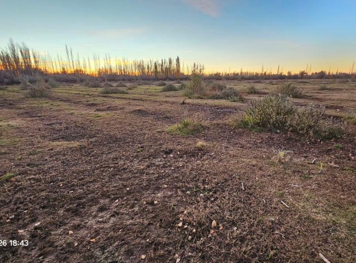 Campo · 11200m²