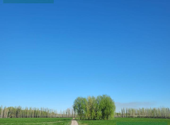 Campo · 130000m²