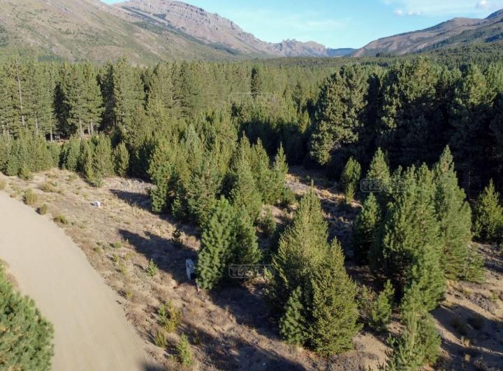 Terreno · 1333m²