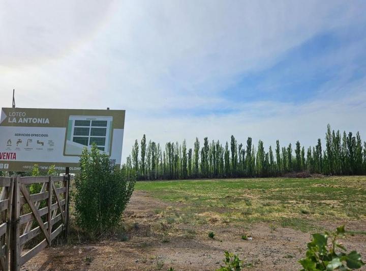 Terreno · 550m²