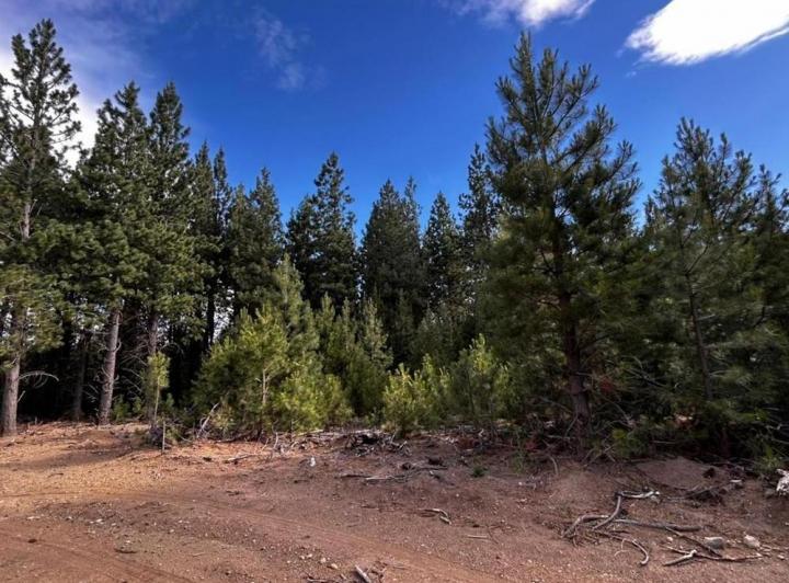 Terreno · 980m²