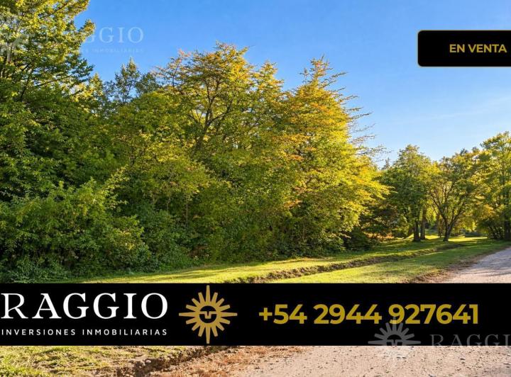Terreno · 2825m²