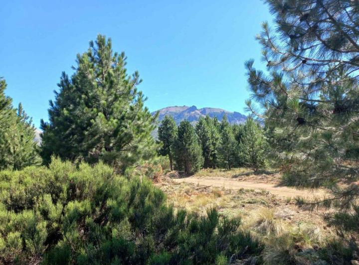 Terreno · 1339m²