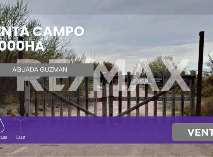 Campo · 150ha