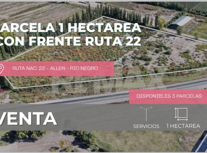 Campo · 1ha