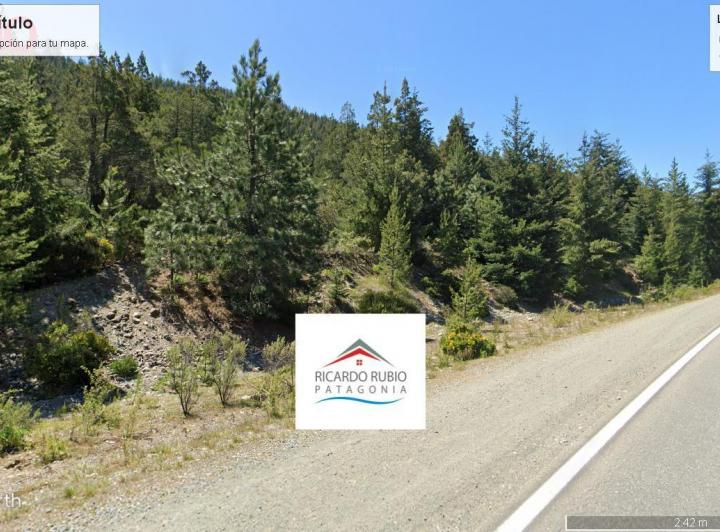 Campo · 10000m²