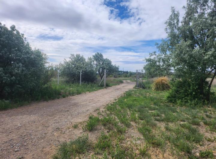 Campo · 230m² · 2 Cocheras