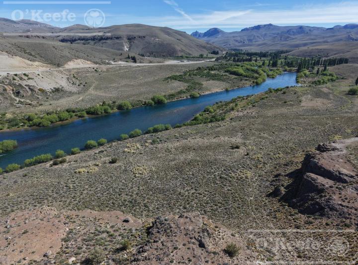Campo · 515000ha