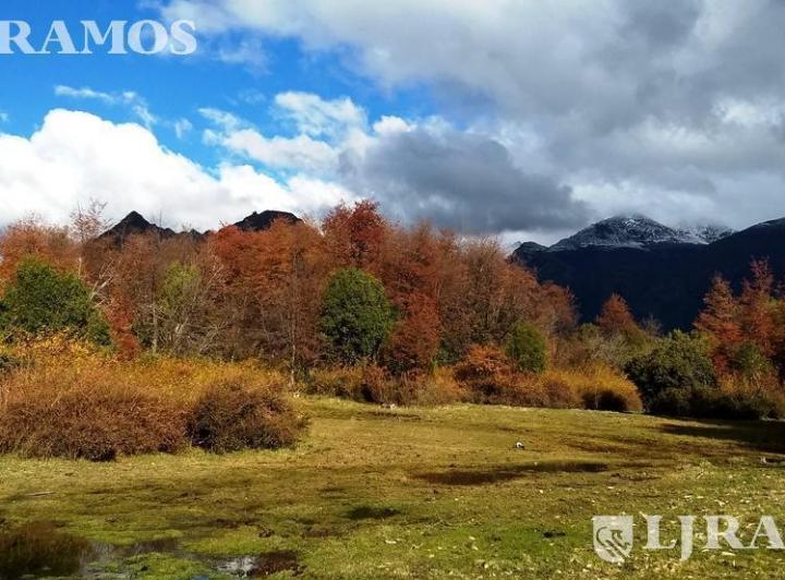 Campo · 1510000ha