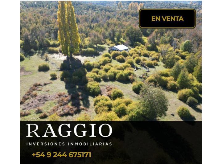 Campo · 59000ha · 2 Ambientes