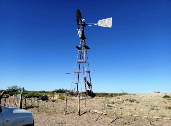 Campo · 20000ha
