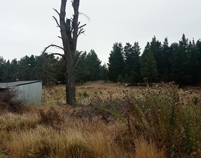 Terreno · 442m²