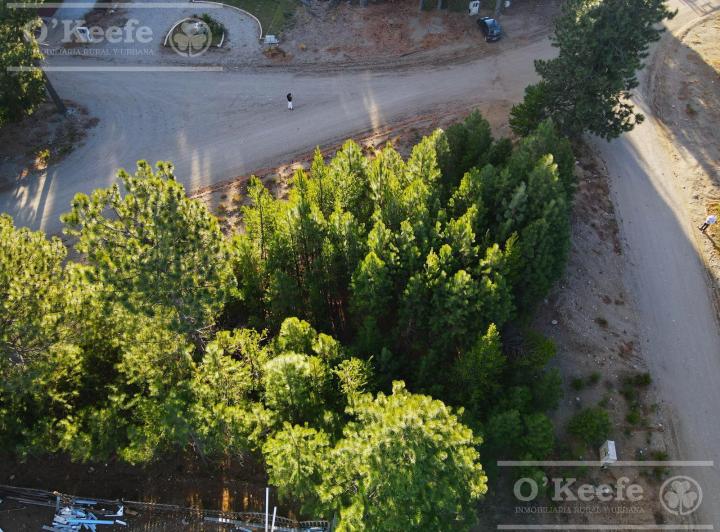 Terreno · 1024m²