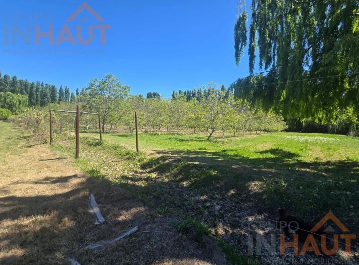 Campo · 400ha · 4 Ambientes