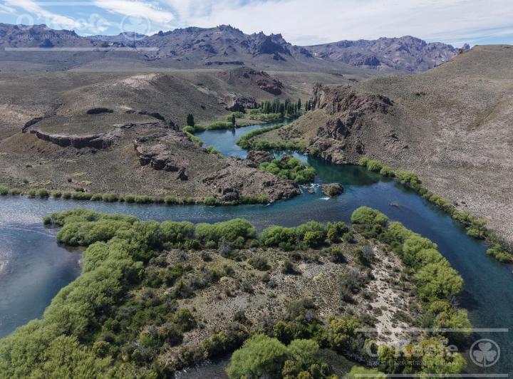 Campo · 16000ha