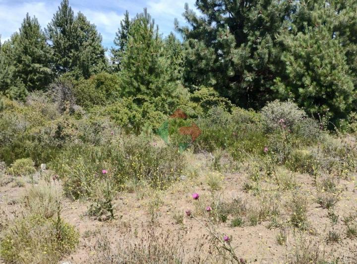 Terreno · 992m²