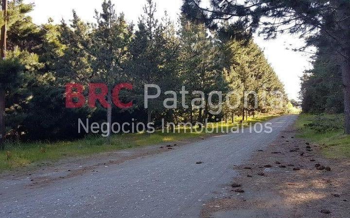 Terreno · 20000m²