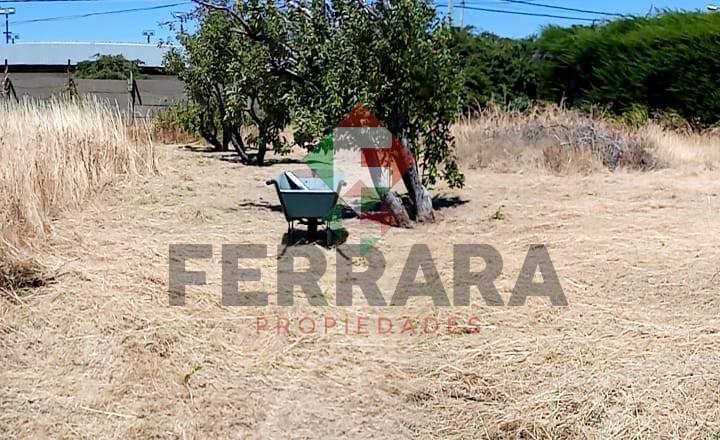 Terreno · 650m²