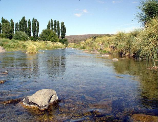Campo · 46630000m²