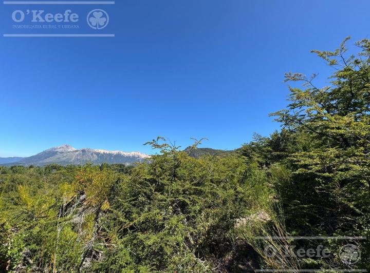 Terreno · 3891m²