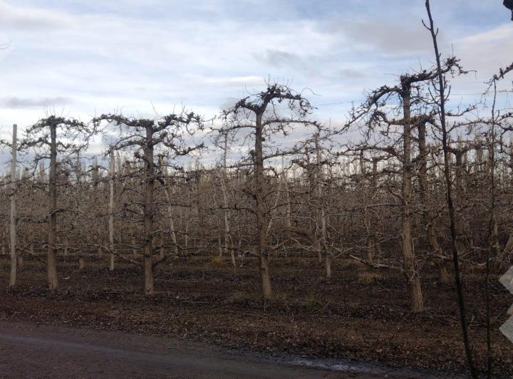 Campo · 115500ha · 6 Ambientes · 2 Cocheras