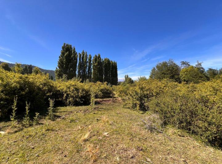 Campo · 23724m²