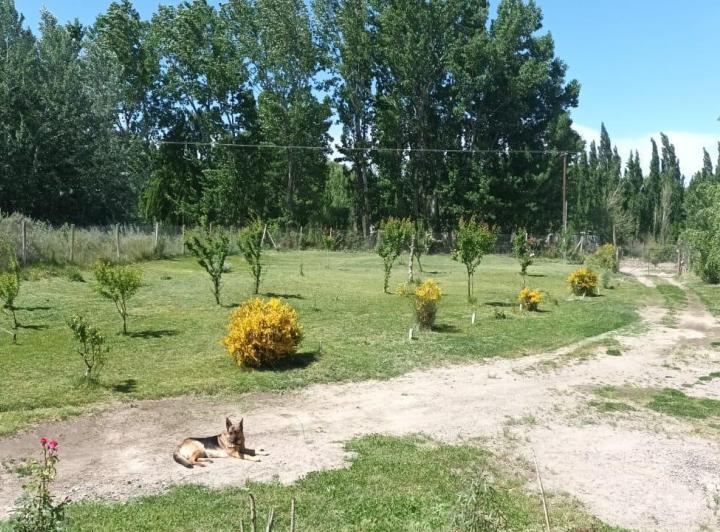 Campo · 60m² · 1 Ambiente · 2 Cocheras
